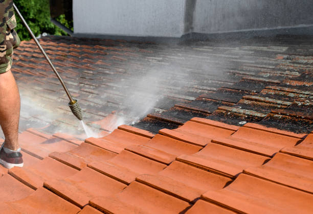 Best Pressure Washing Brick  in Catahou, LA