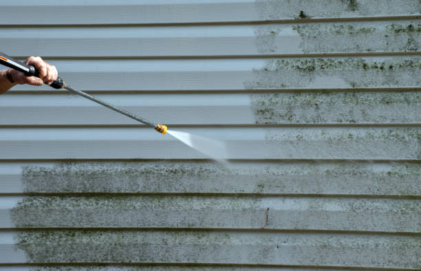 Best Sidewalk Pressure Washing  in Catahou, LA